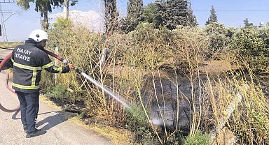 Reyhanlı'da zeytinlik alandan alevler yükseldi