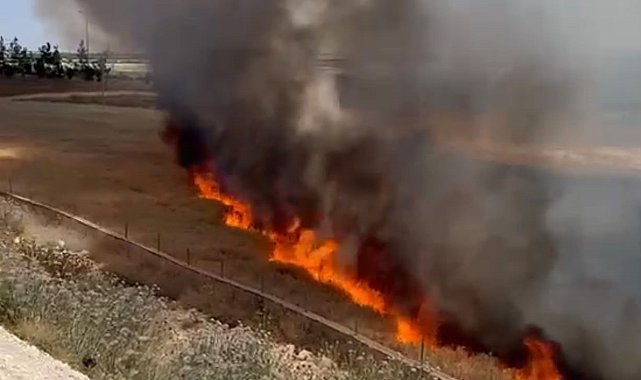 Şanlıurfa'da arpa ekili arazide çıkan yangında 30 dönüm alan zarar gördü
