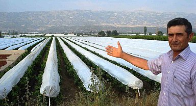 Sarıgöl Ovası beyaza bürünmeye hazırlanıyor