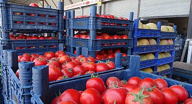 Sebze halindeki domatesin fiyatı 15 TL'ye düştü