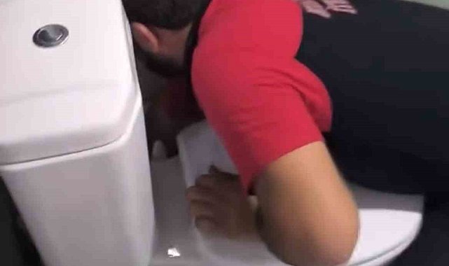 Siirt'te lavabo gider borusuna sıkışan 2 yavru kedi itfaiye ekiplerince kurtarıldı