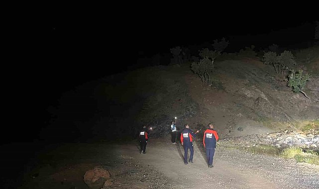 Siirt'yte kaybolan çoban için arama çalışmaları başlatıldı