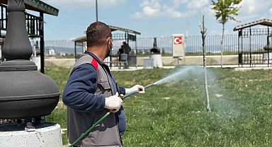 Sincan Belediyesinden yaz aylarına özel ilaçlama