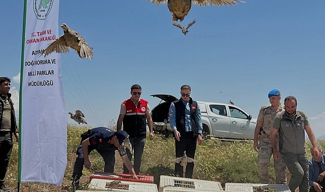Sincik'te 200 keklik doğaya salındı