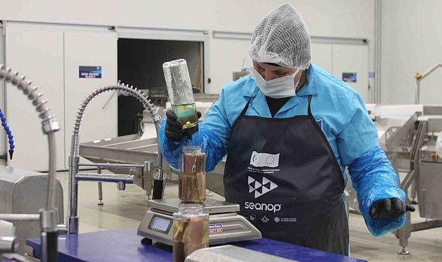 Sinop lakerdası kalkınmanın yeni markası olmaya hazırlanıyor