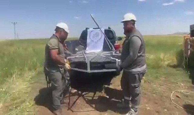 Şırnak'ta göç yolundaki leyleklere güvenli yuva