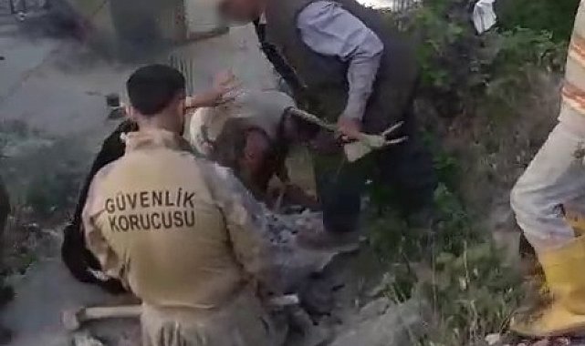 Şırnak'ta kadına şiddet iddiası: 2 gözaltı