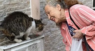 Sokak hayvanlarının "Panter Emel"i hayatını kaybetti