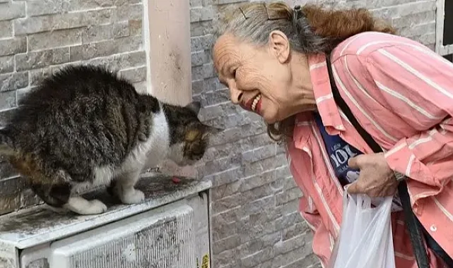Sokak hayvanlarının "Panter Emel"i hayatını kaybetti