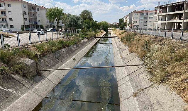 Sulama kanalı için muhtardan "yeşil alan" talebi