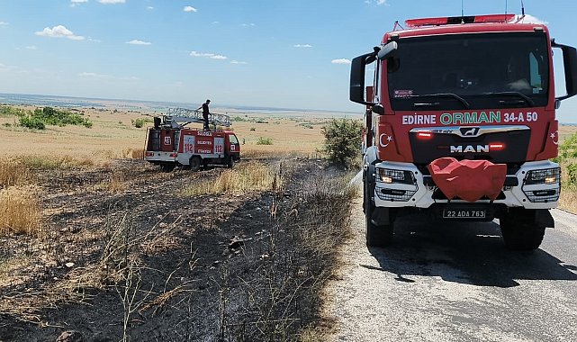 Süloğlu'nda tarla yangını: Buğday ekili alan zarar gördü