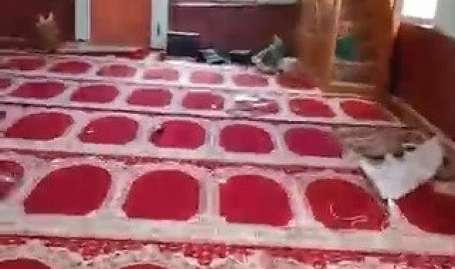 Tahrip edilen köy camisi belediye ekiplerince yeniden ibadete hazır hale getirildi