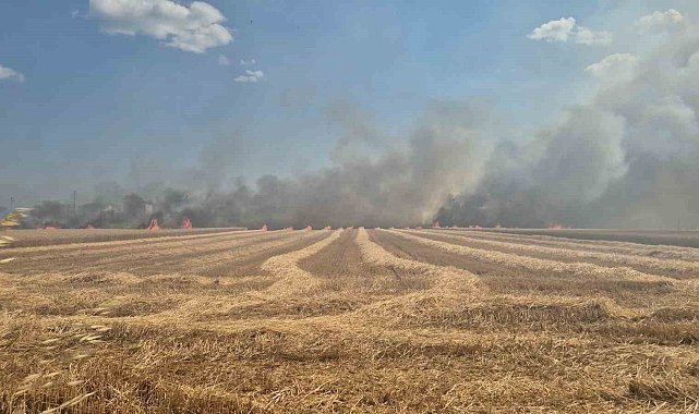 Tekirdağ'da 2 farklı noktada çıkan yangın söndürüldü: 700 dönümlük alan ve 20 konteyner kül oldu