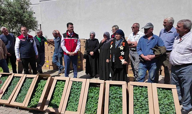 Tekirdağ'da 407 üreticiye 256 bin yazlık sebze fidesi dağıtıldı