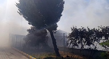 Tekirdağ'da tarım arazisinde başlayan yangın: Alevler 4 farklı noktaya sıçradı