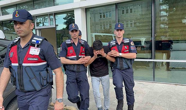 Televizyon hırsızlığı zanlısı, jandarma ekiplerince yakalandı