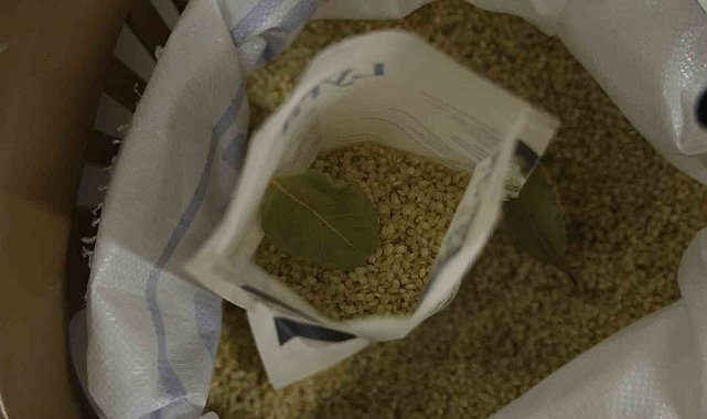 Tescilli Karacadağ pirinci testten geçti: Pestisit yok, protein yüksek