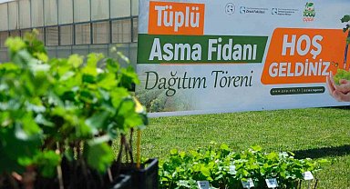 TOGÜ'den üreticiye bağcılık desteği