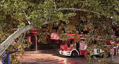 Tramvay hattına düşen dal seferleri aksattı