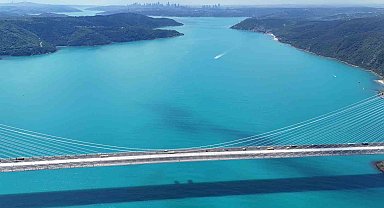 Turkuaza dönen İstanbul boğazında yunuslar akın etti