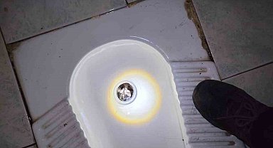 Tuvalet giderine düşen yavru kediyi itfaiye kurtardı