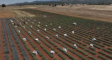 TZOB: 30 yılda 3 milyon hektar tarım arazisi kaybedildi!