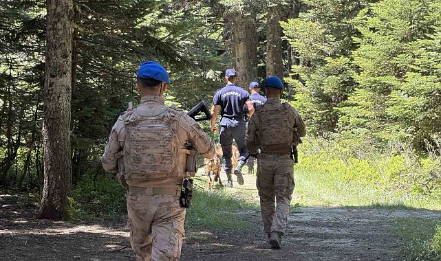 Uludağ'ın zümrüt yeşili ormanları Jandarma'ya emanet