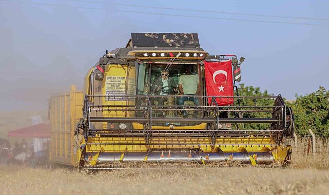 Vali Akkoyun: ''Mardin'de 1 milyon 279 bin dekarlık alanda buğday ekimi yapıldı''