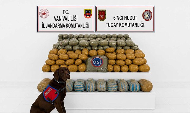Van'da 291 kilogram toz esrar ele geçirildi