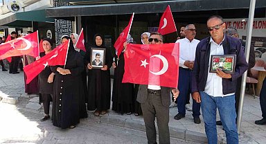 Vanlı ailelerin evlat nöbeti 120'nci haftasında sürüyor