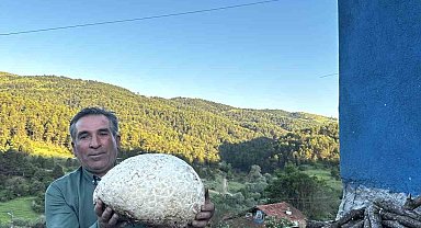 Vatandaşın bulduğu 5 kiloluk mantar şaşırttı