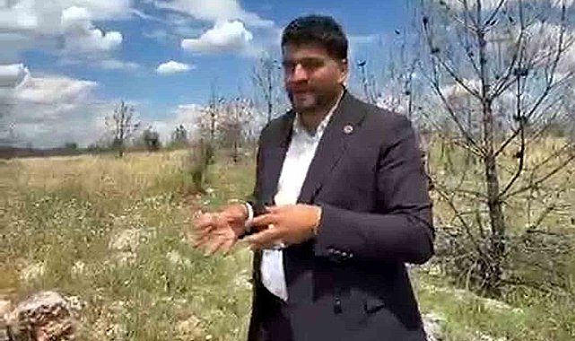 Vatandaşlardan ormanlık alana arazi yolu talebi