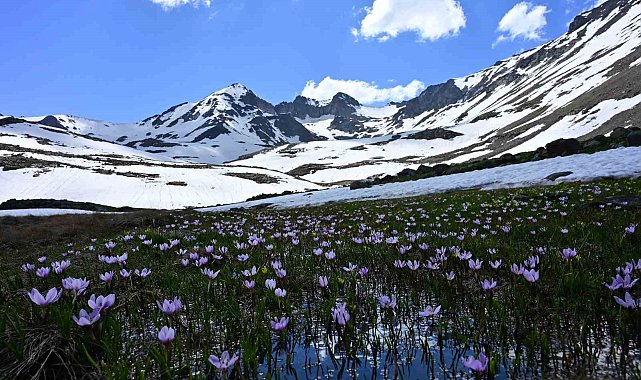 Yaz ortasında kışın hüküm sürdüğü eşsiz coğrafya: Artabel