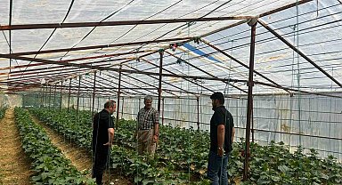 Yüksekova Tarım ve Orman Müdürlüğü ekiplerinden çiftçilere saha desteği