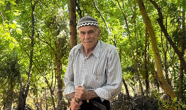 31 yılda 25 bin ağaç dikerek, kurak araziyi oksijen sahası yaptı