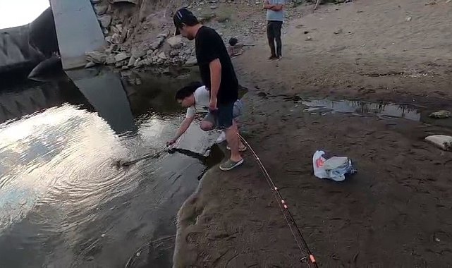 4 kişi yakalayamadı: Dev turna balığı son anda nehre kaçtı
