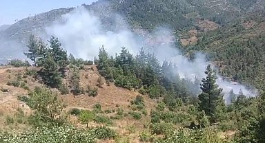 Adana'da orman yangını