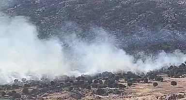 Adıyaman'da ormanlık alanda yangın