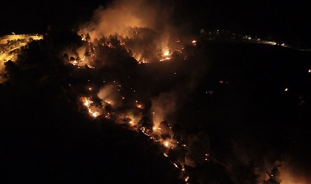 Adıyaman'daki orman yangınıyla ilgili bir şahıs tutuklandı