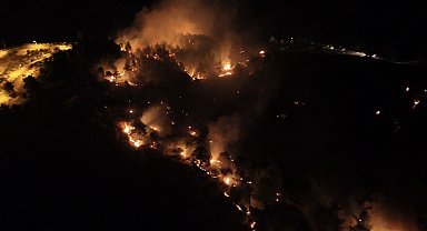 Adıyaman'daki orman yangınıyla ilgili bir şahıs tutuklandı