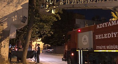 Ağaçta mahsur kalan kediyi itfaiye ekipleri kurtardı