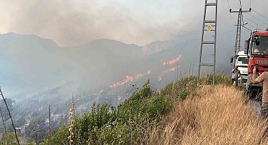 Alanya Sapadere Kanyonu'nda ormanlık alanda yangın