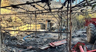 Alanya'da orman yangını muz seralarına sıçradı: 17 hektarlık alan zarar gördü