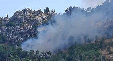 Alanya'da zirai alanda çıkan yangın söndürüldü