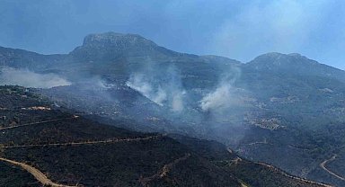 Alanya'daki orman yangınında mücadele ikinci gününde: Bölge dron ile görüntülendi