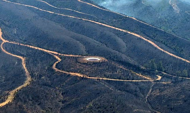 Alanya'daki orman yangınında şu ana kadar 305 dekar alan etkilendi