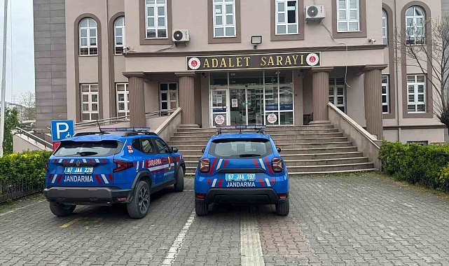 Alaplı'da uyuşturucu operasyonunda 7 kök kenevir ve esrar ele geçirildi