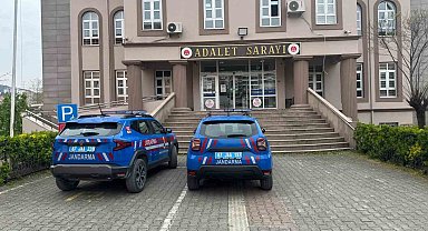Alaplı'da uyuşturucu operasyonunda 7 kök kenevir ve esrar ele geçirildi