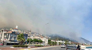 Altınoluk'taki orman yangınıyla ilgili Balıkesir Valisinden açıklama