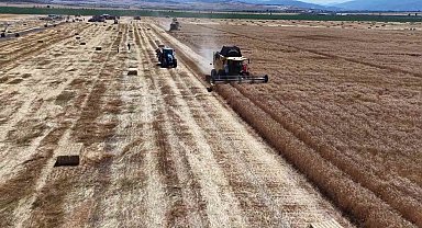 Amasya'da buğday ve arpa rekoltesinde yüzde 100 artış